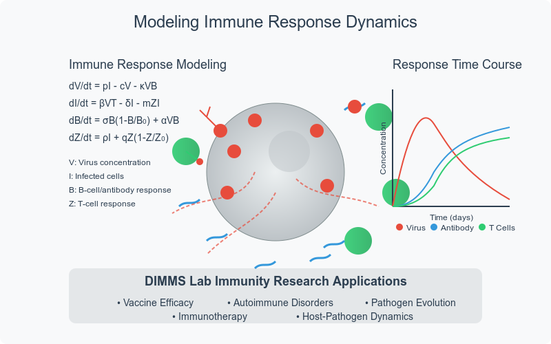 Immunity System Modeling